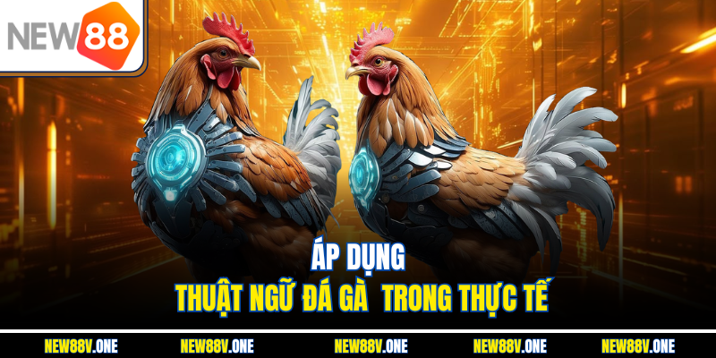 Áp dụng thuật ngữ đá gà  trong thực tế