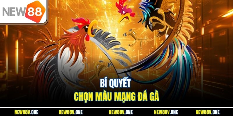 Bí quyết chọn màu mạng đá gà
