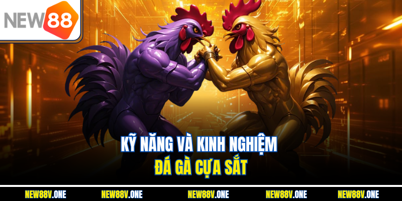 Kỹ năng và kinh nghiệm Đá gà cựa sắt