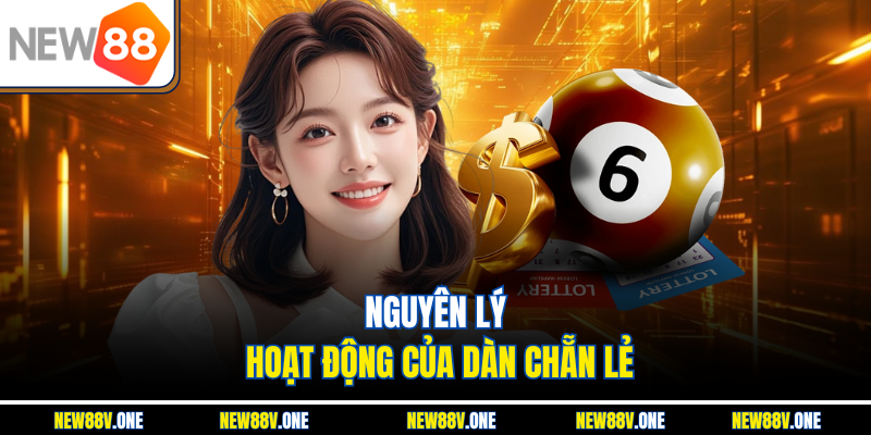  Cách vận hành của dàn số chẵn lẻ